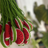 Watermelon Red Crochet Bag Charm