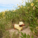 Rain Dog Yellow Vegan Leather Crossbody Bag