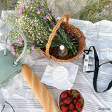 A still image of a mint croc shoulder bag with a picnic basket, blanket, and camera. 